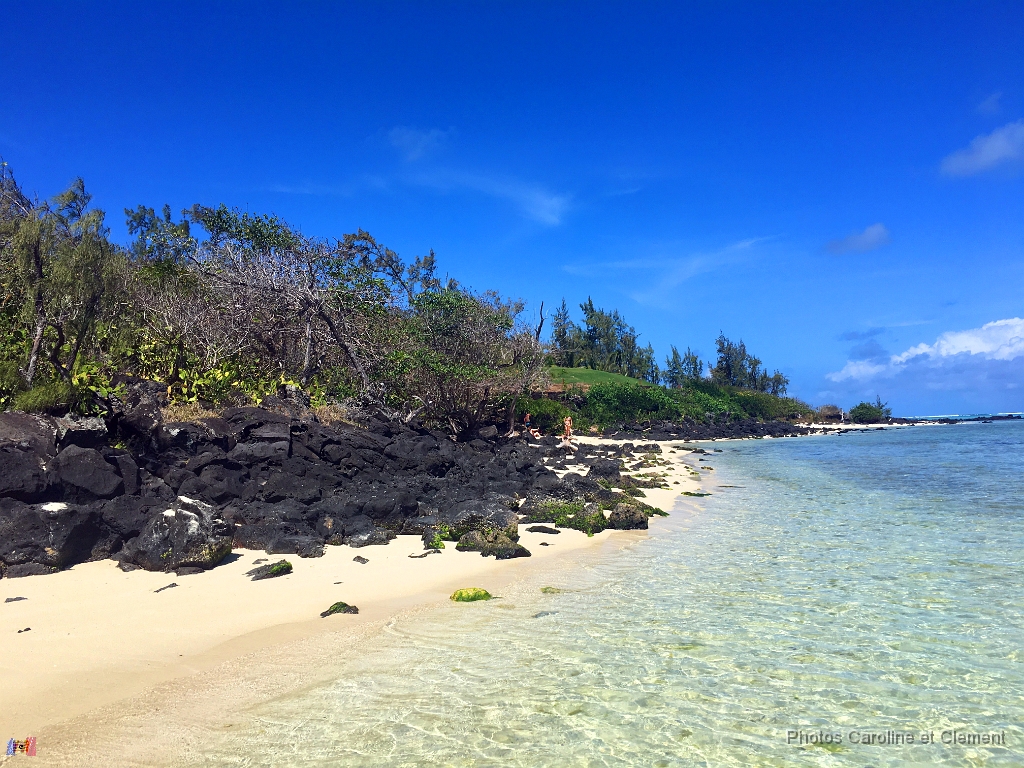 Ile Maurice Novembre 2016 82.jpg - Ile Maurice - Novembre 2016.